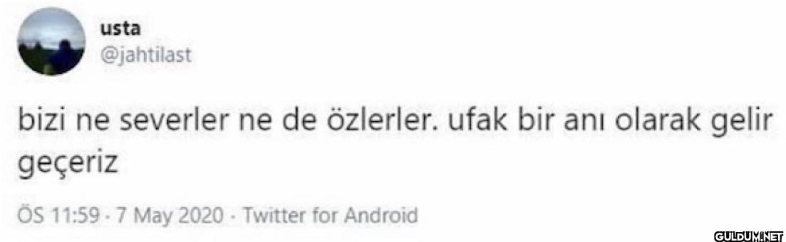 bizi ne severler ne de...