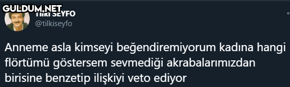 Tilki SEYFO @tilkiseyfo...