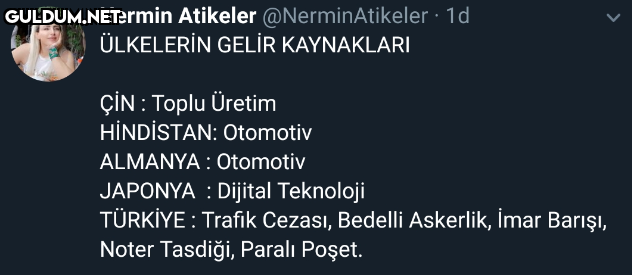 Nermin Atikeler...