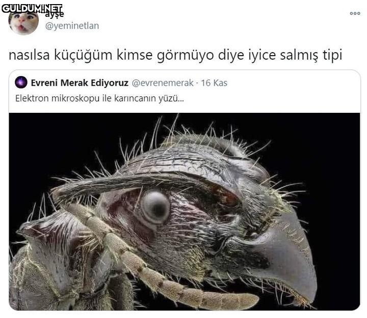 Popular post