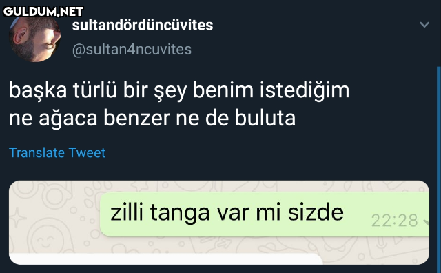 sultandördüncüvites...