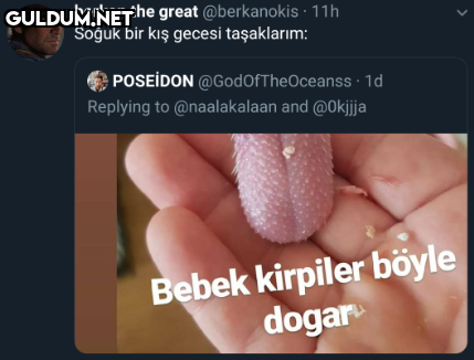 berkan the great...