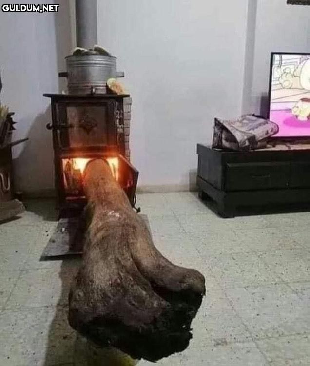 anlamsız fotoğraflar 3803 ...