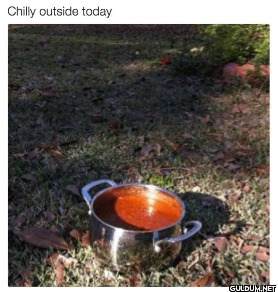 ︎ ︎ ︎    Chilly outside today