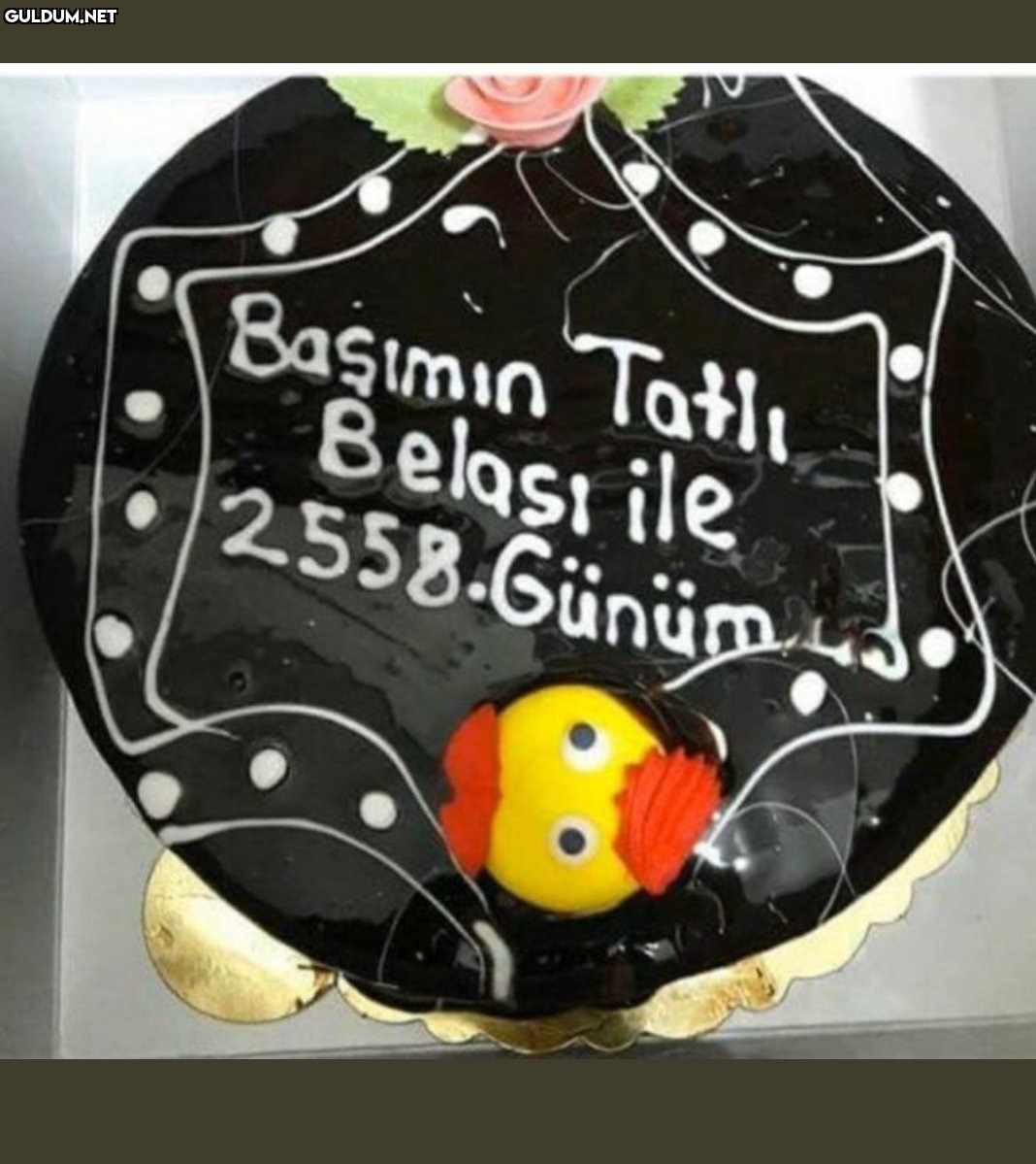 Başımın Tatlı Belası ile...