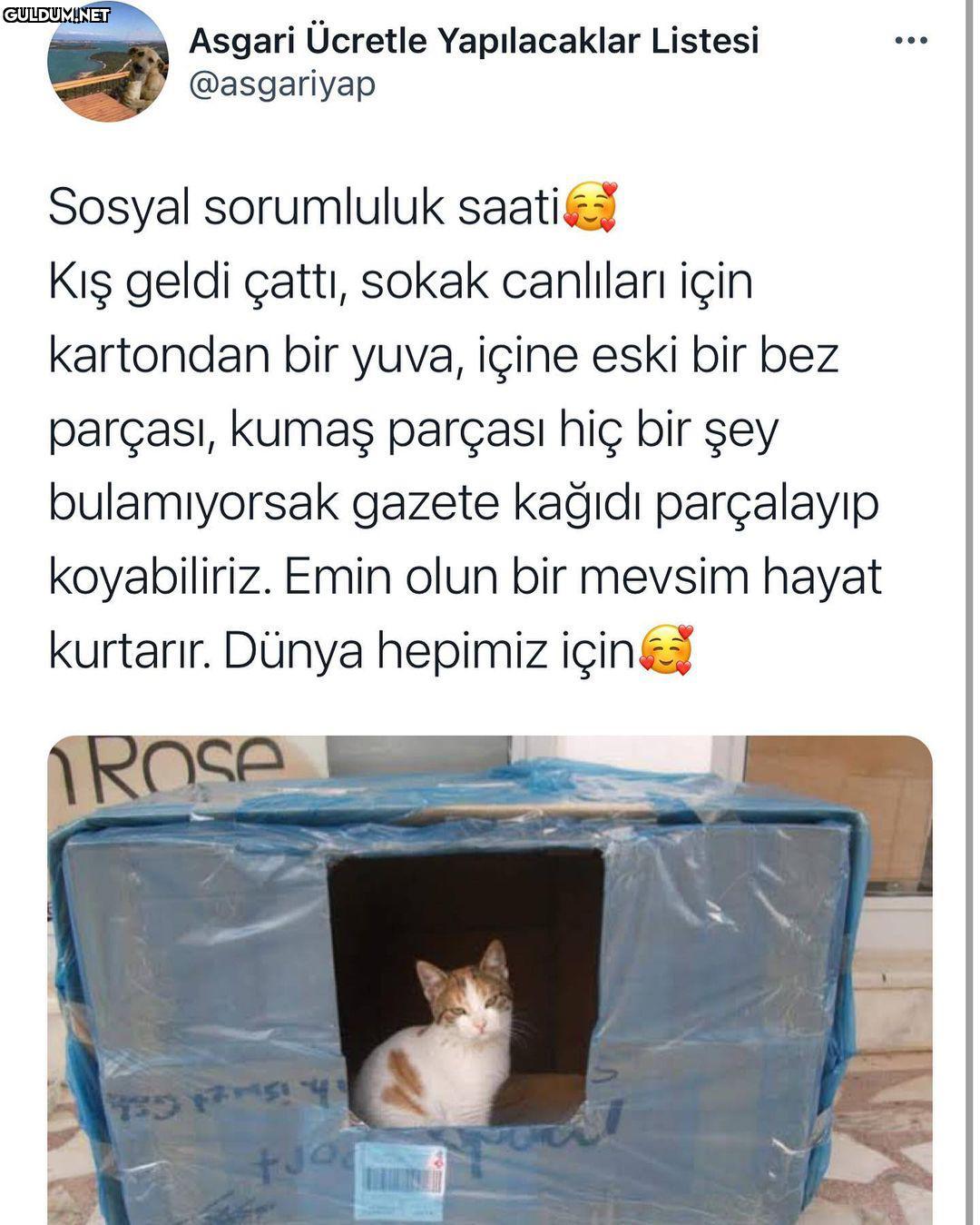 Asgari Ücretle...