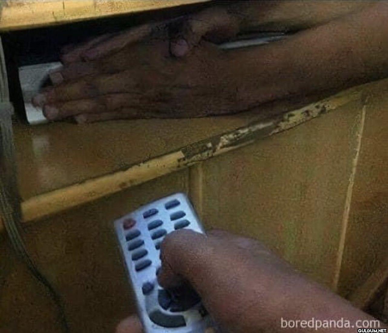 growing up with siblings,...