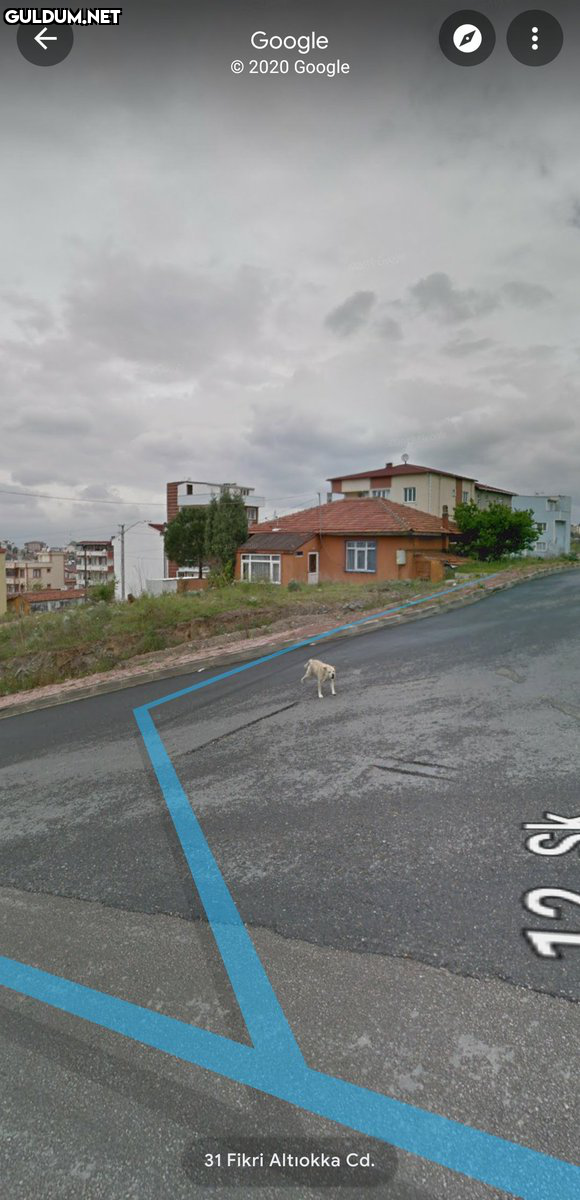 RT @nctxgooglemaps:  ...