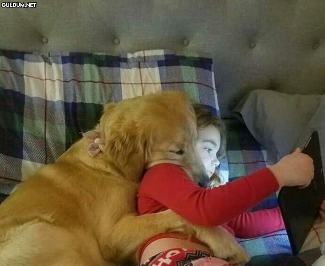 Günaydın 😊  Kaynak