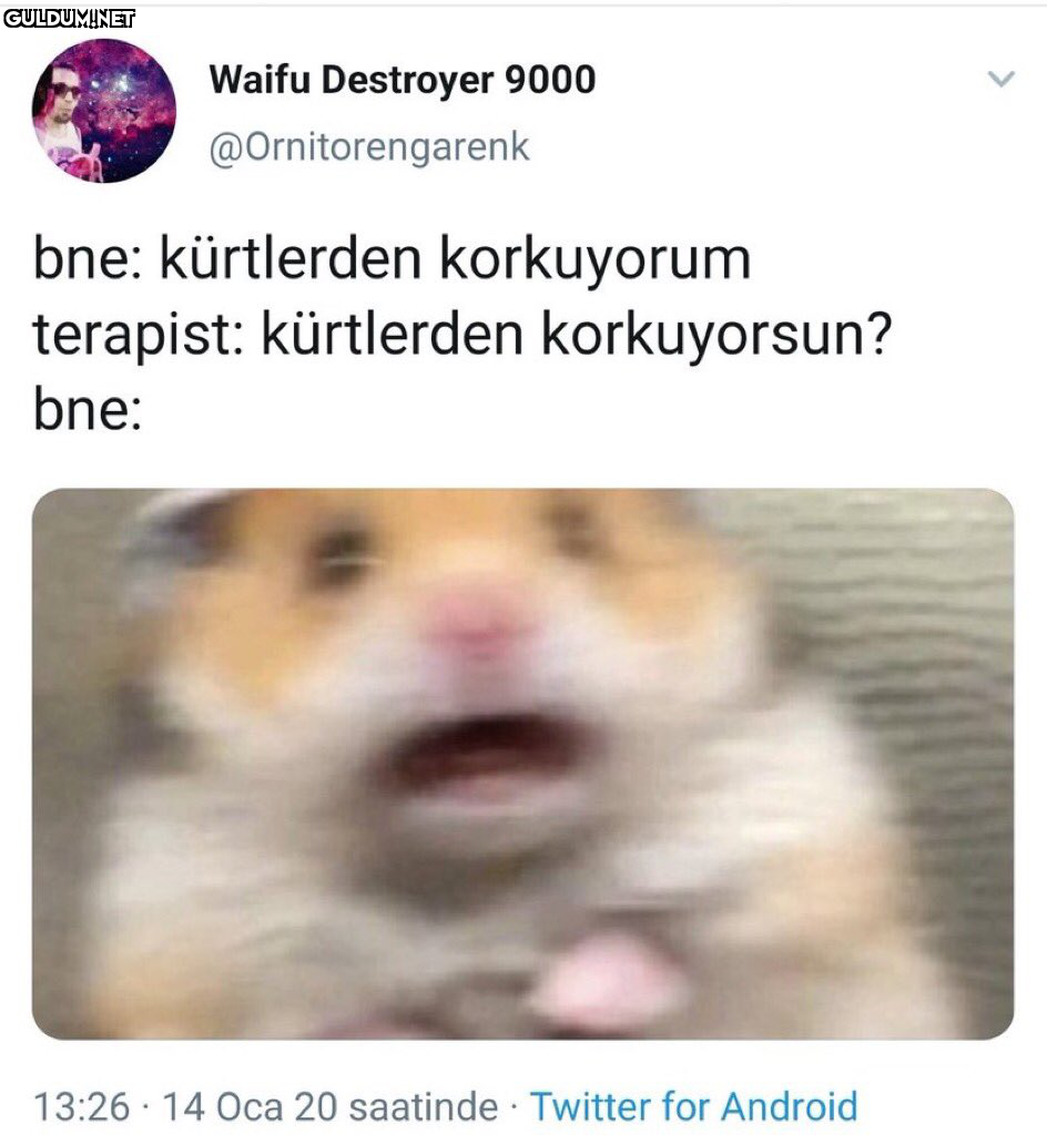 RT @mevzukurtlere1:  ...