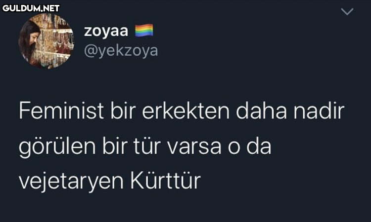 RT @mevzukurtlere1:  ...