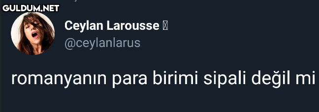 Ceylan Larousse I...