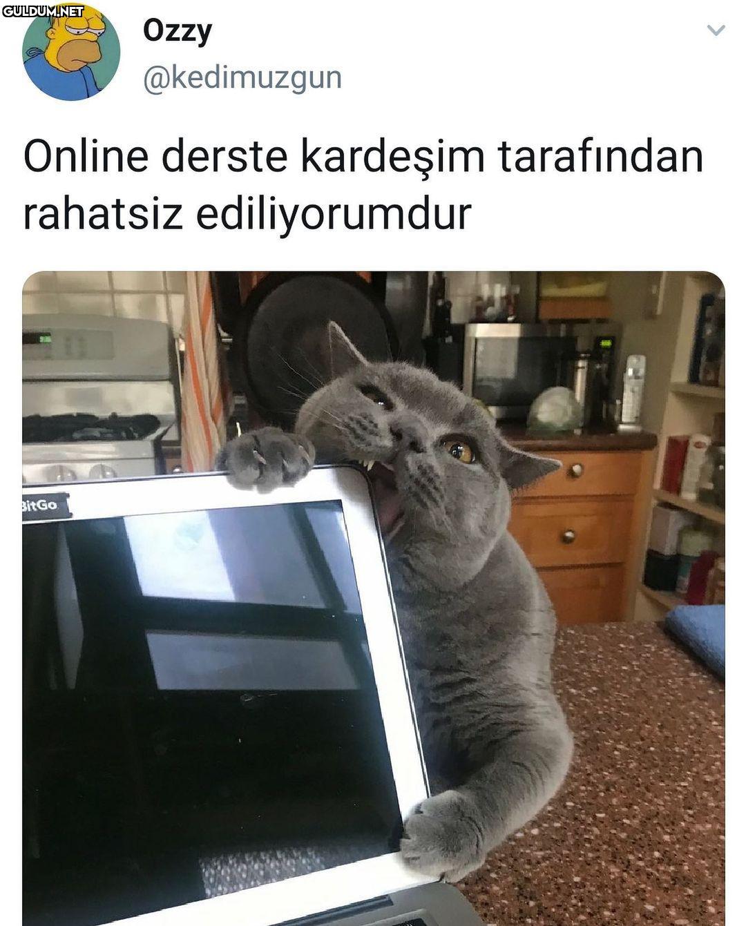 Kardeş terörü Özzy...
