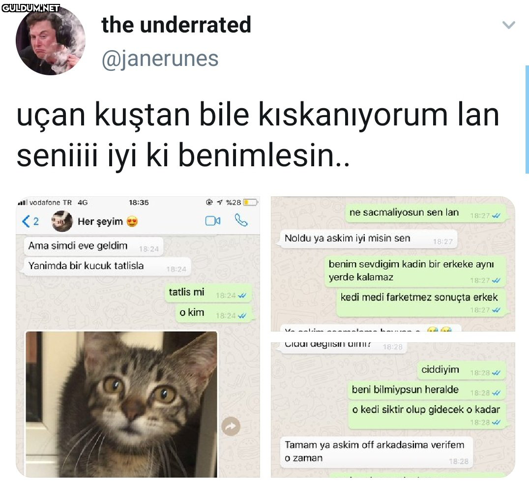 RT @yasanmiskesin: Siz...