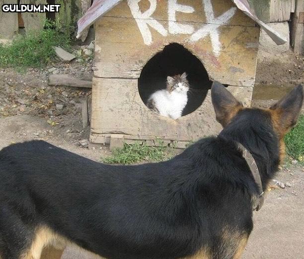 anlamsız fotoğraflar 8948...