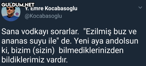 Y. Emre Kocabasoglu...