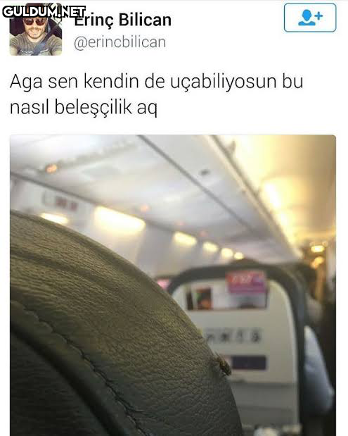 RT @gorduklerimisi1:...