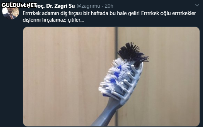 Yrd. Doç. Dr. Zagri Su...