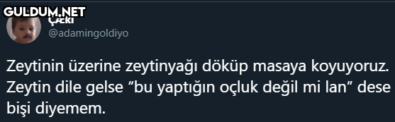 ÇÆKİ @adamingoldiyo...