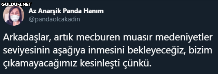 Az Anarşik Panda Hanım...