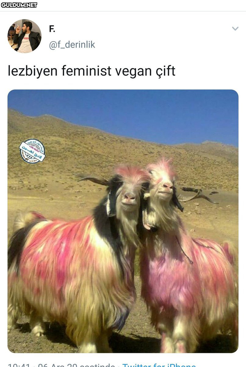 RT @gorduklerimisi1: Hiç...
