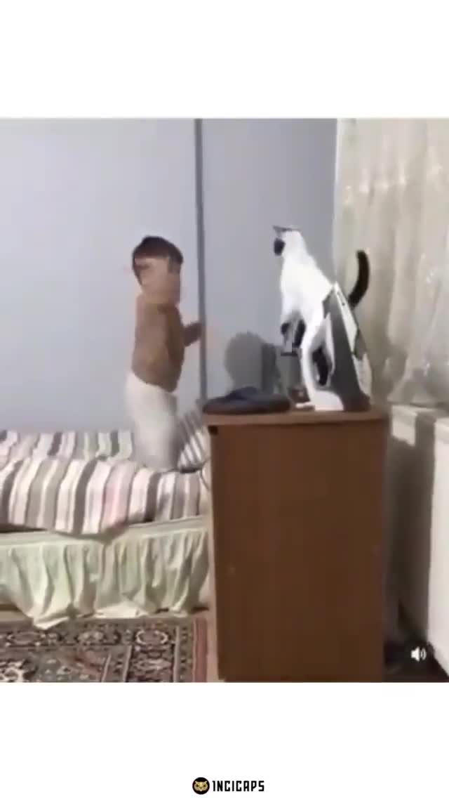 Birinin bir durum karşısında dövüşmesi gerektiği ifade ediliyor.