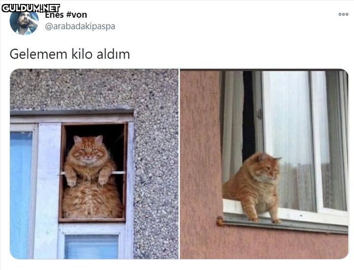Enes #von 000...
