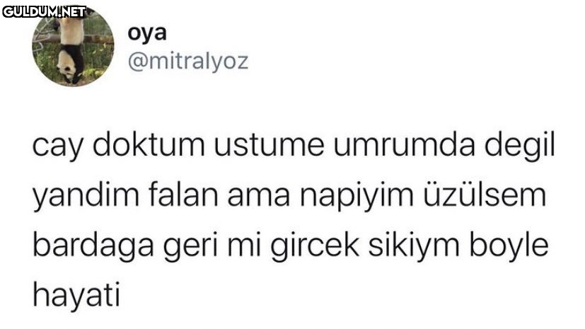 RT @neguzelsovdun:   oya...