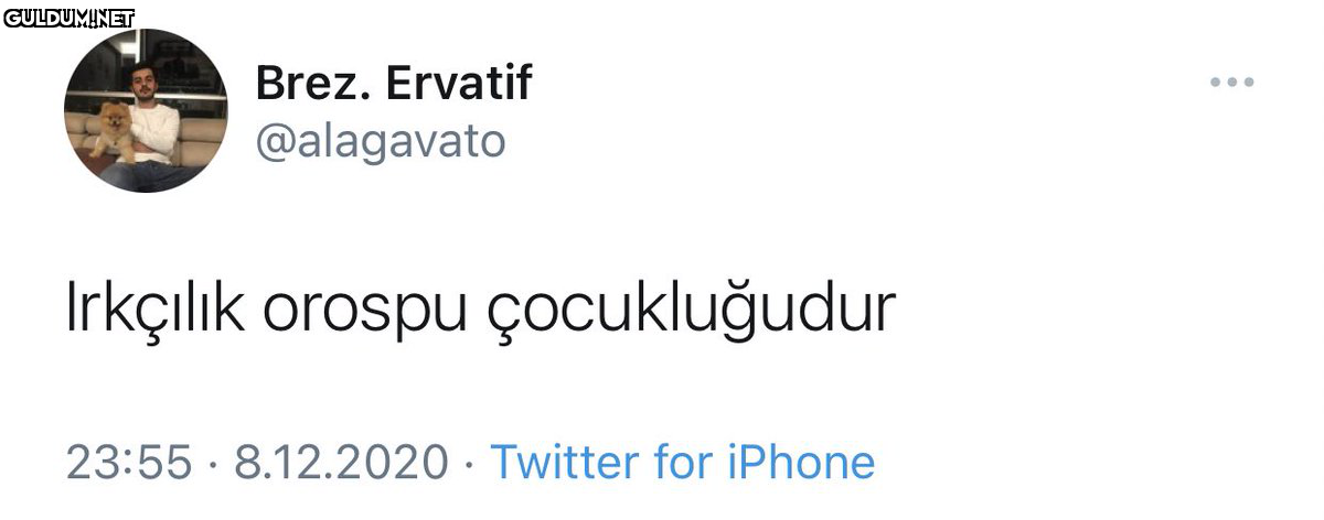 RT @mevzukurtlere1:  ...