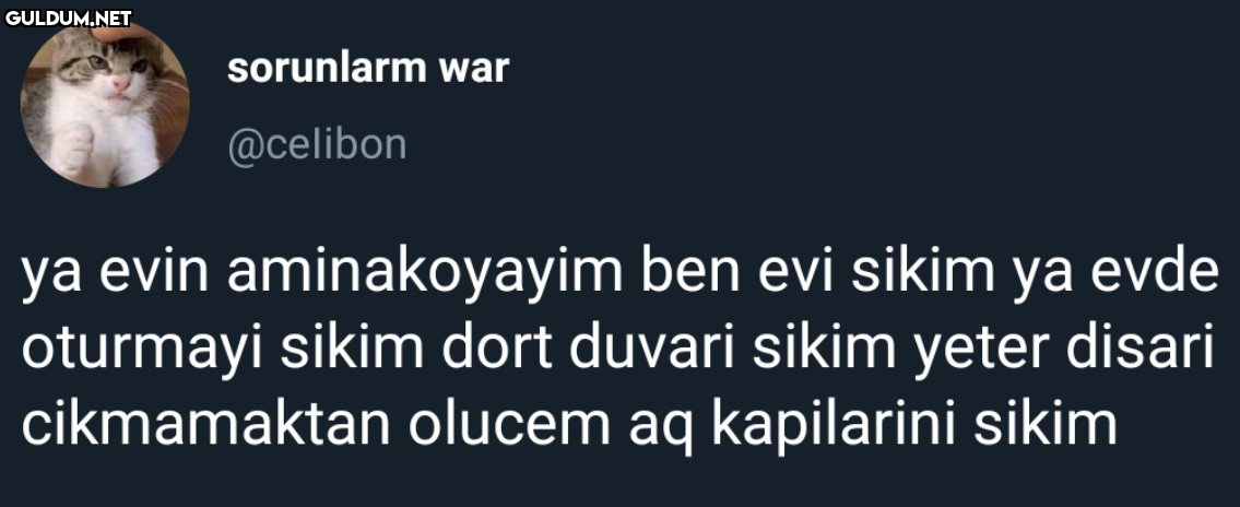 sorunlarm war @celibon ya...