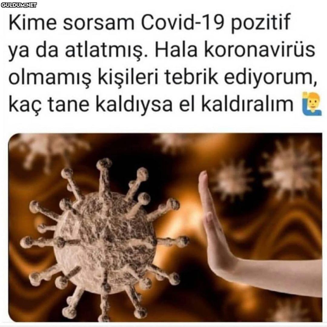 Çok merak ediyorum 50 bin...