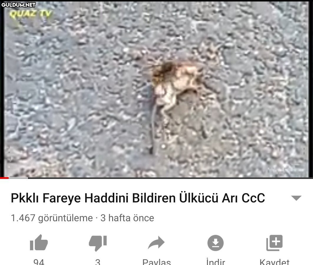 RT @efsoduyar: İyi...