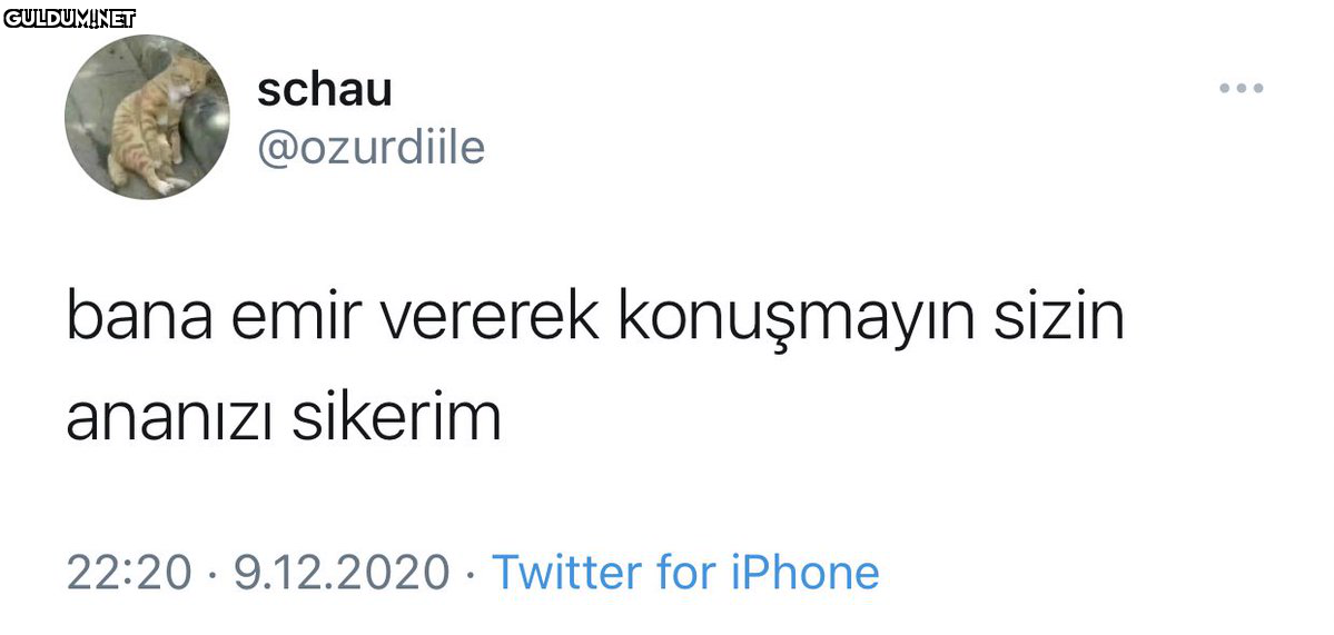 RT @neguzelsovdun:   schau...