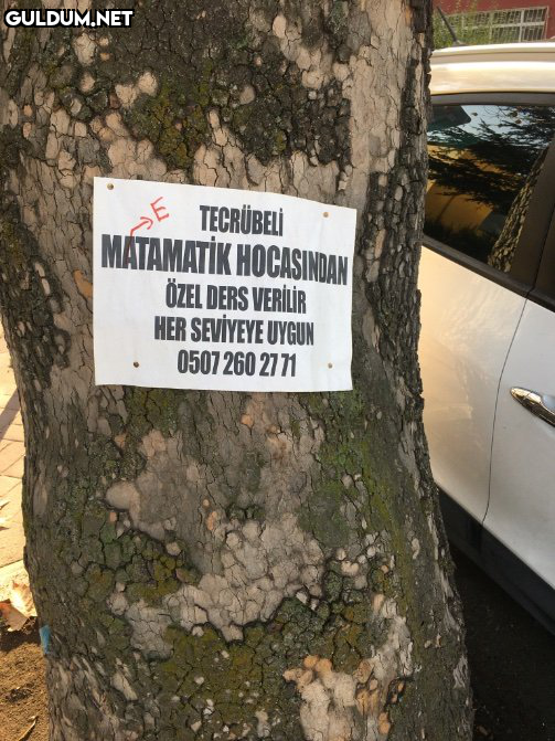 RT @necektinTDK:...
