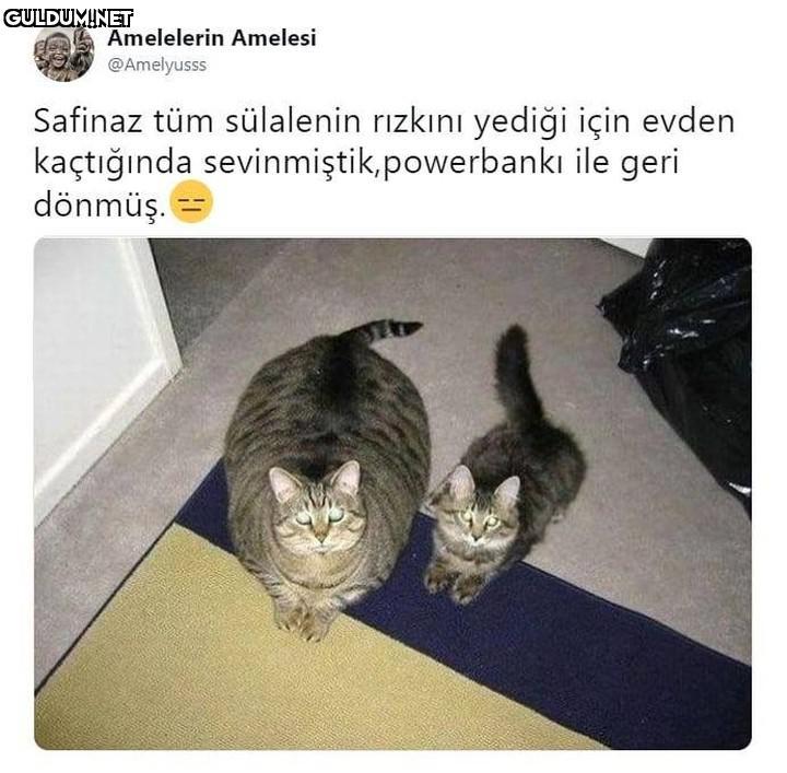 Amelelerin Amelesi...