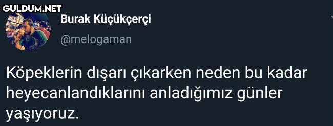 Burak Küçükçerçi...