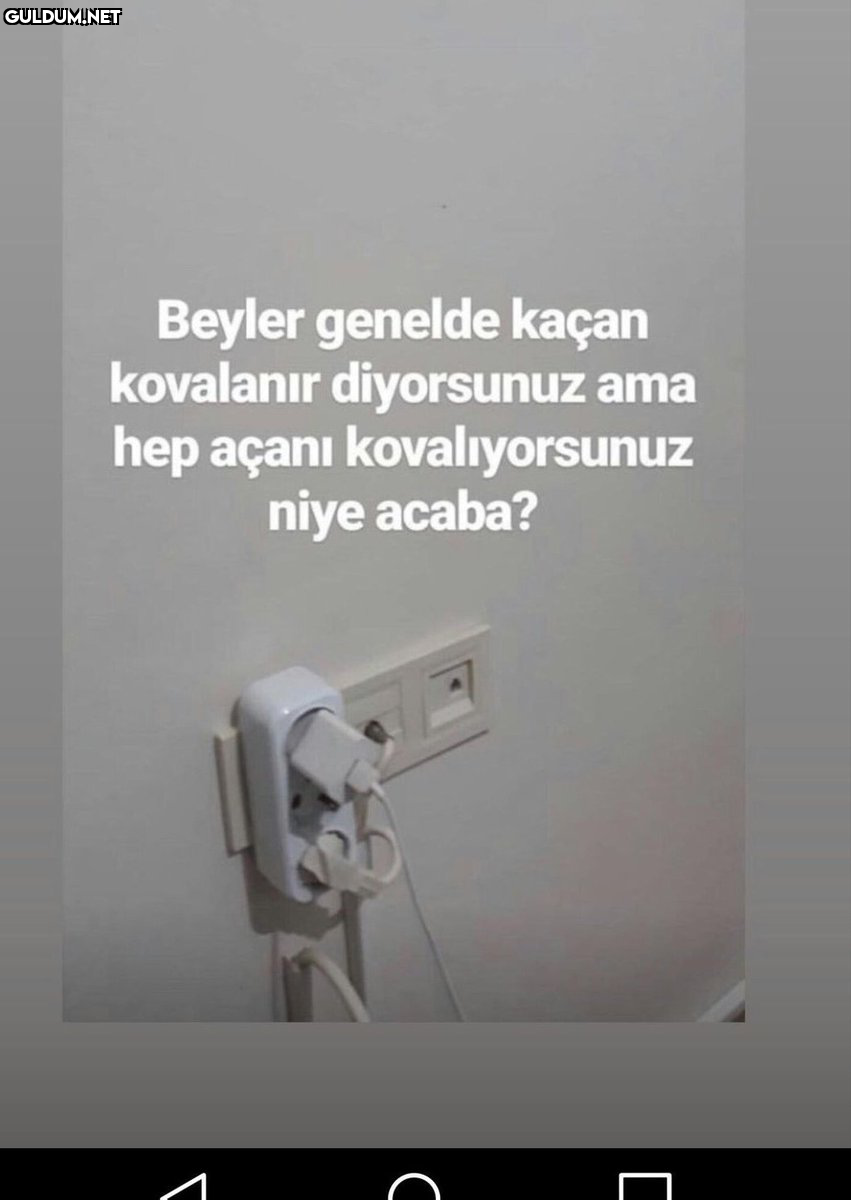 Priz ne alaka şimdi  ...
