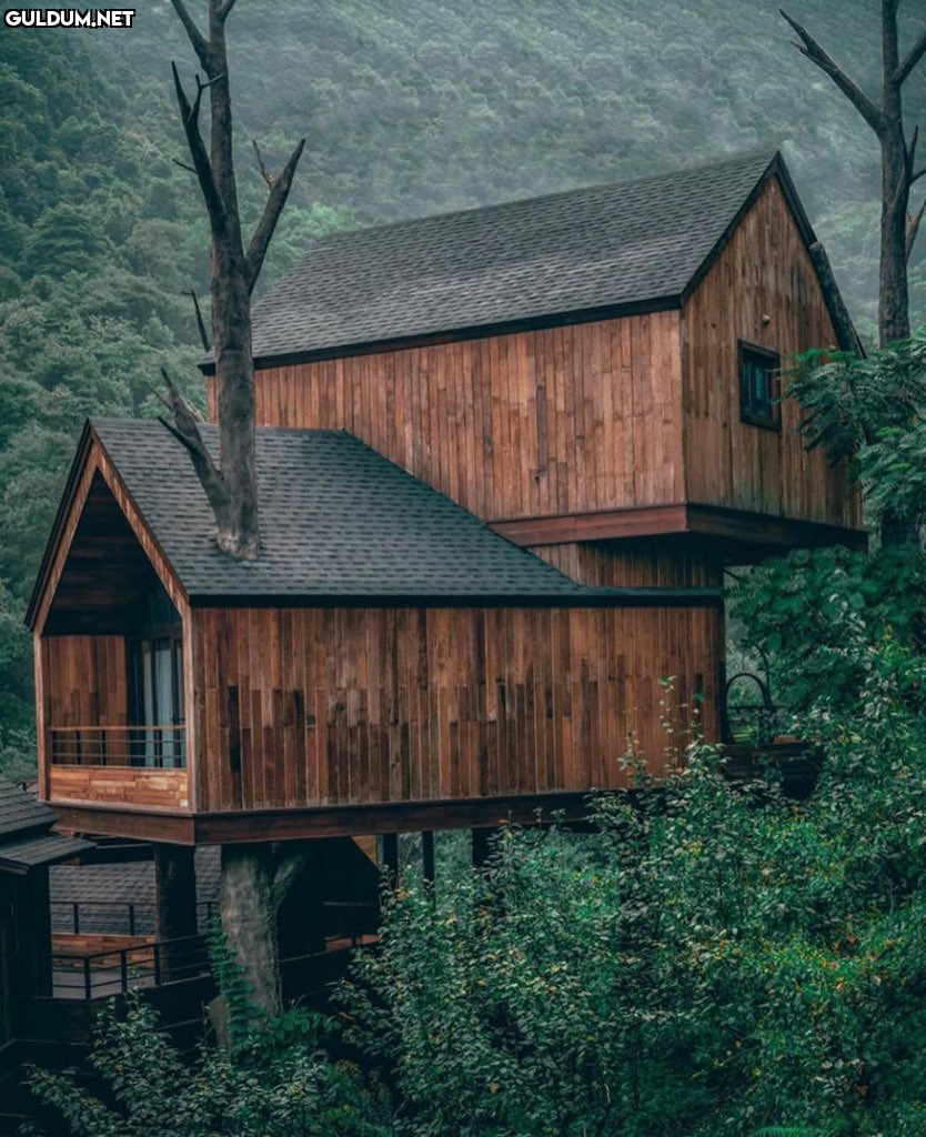 RT @uncommonhouses:    Kaynak