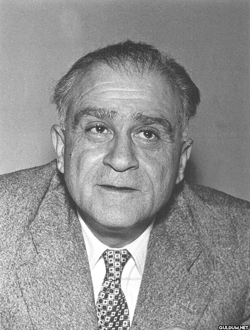 "Câhilsin, okur...