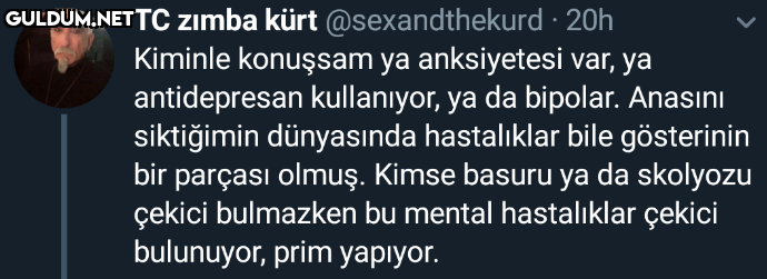TC zımba kürt...
