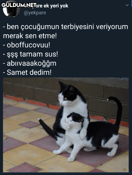 Popular post