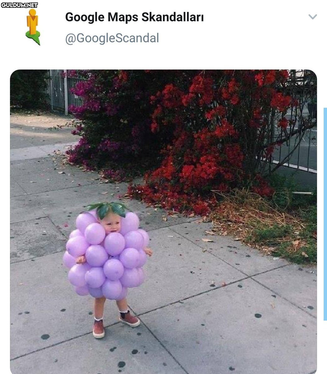RT @cocuktrr:   Google...
