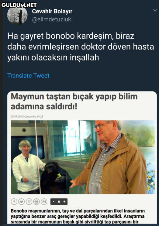 Sgdhjjajajajajaj   Cevahir...