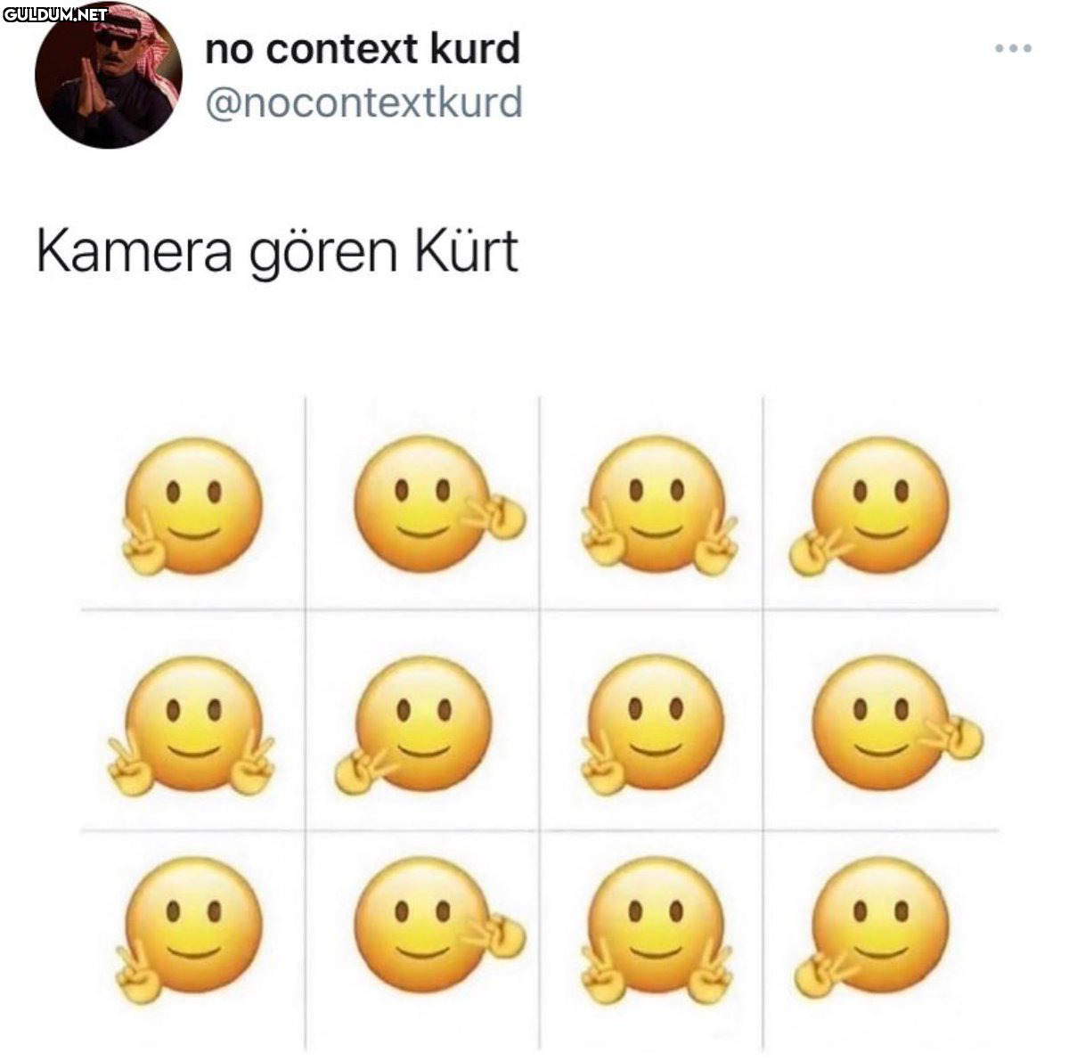 RT @mevzukurtlere1:   no...