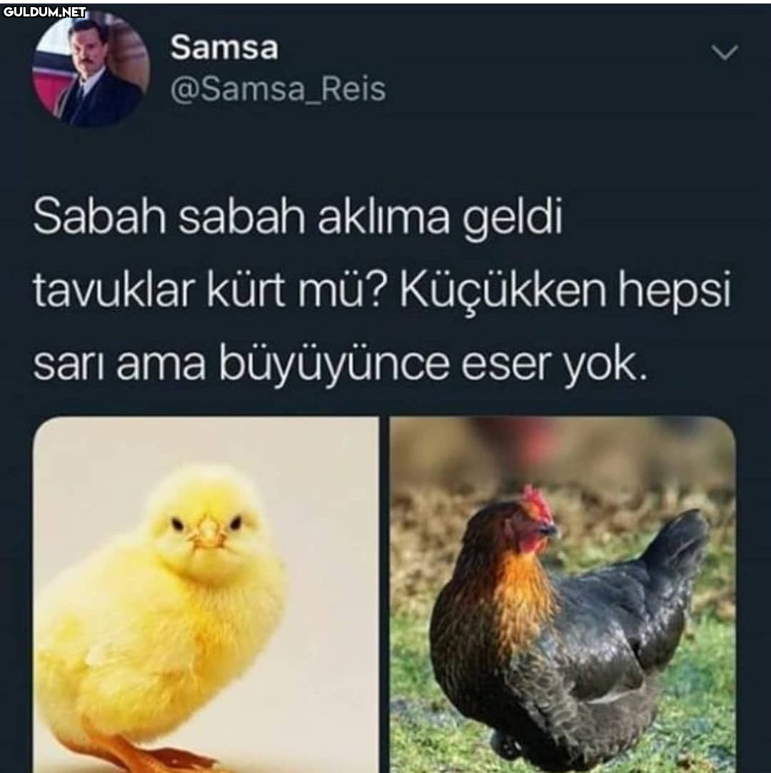 RT @mevzukurtlere1:  ...