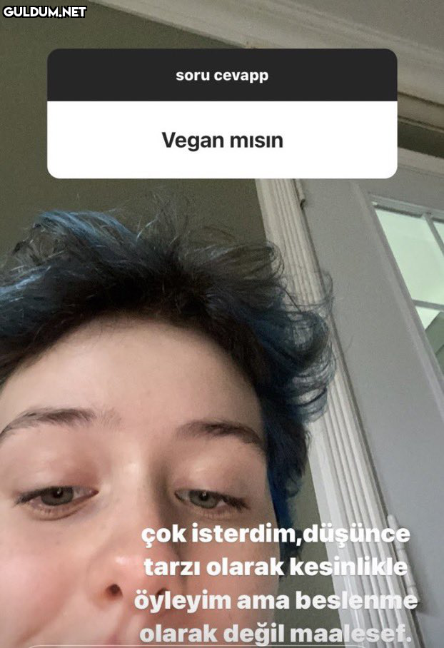 Hayvansal ürünlerden...