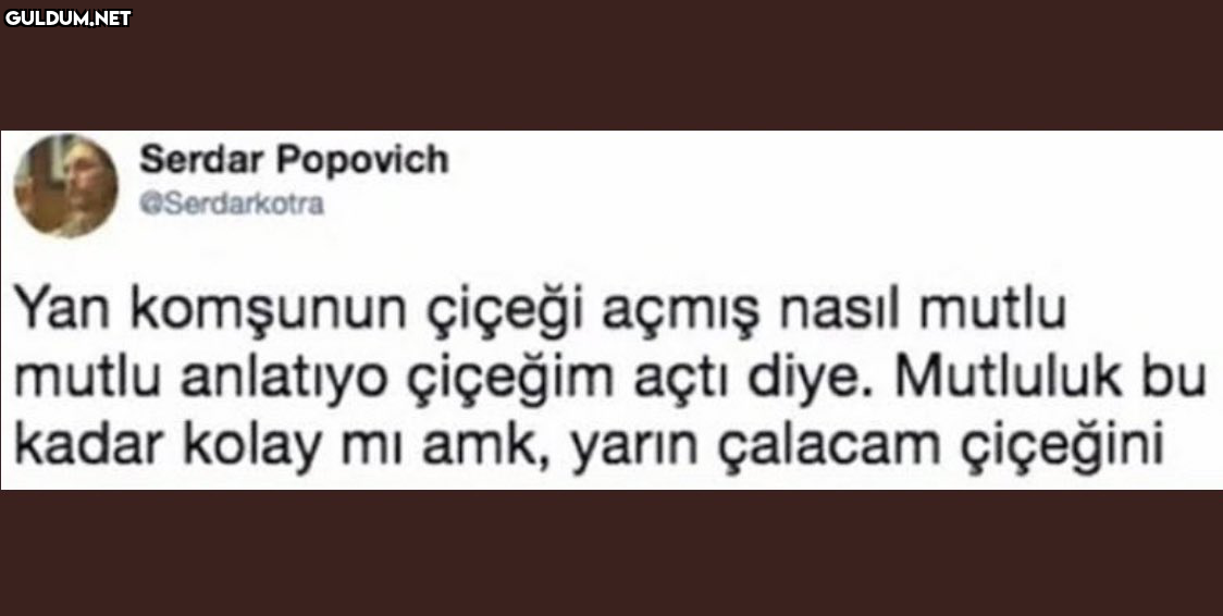 Serdar Popovich...