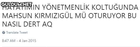 HAYATIMIN YÖNETMENLİK...