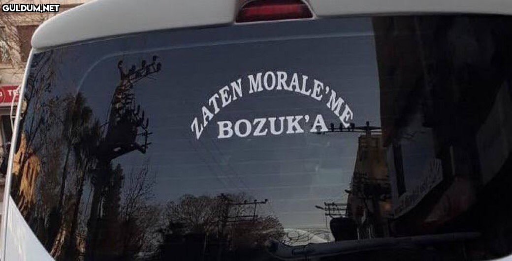 RT @mevzukurtlere1:   N...