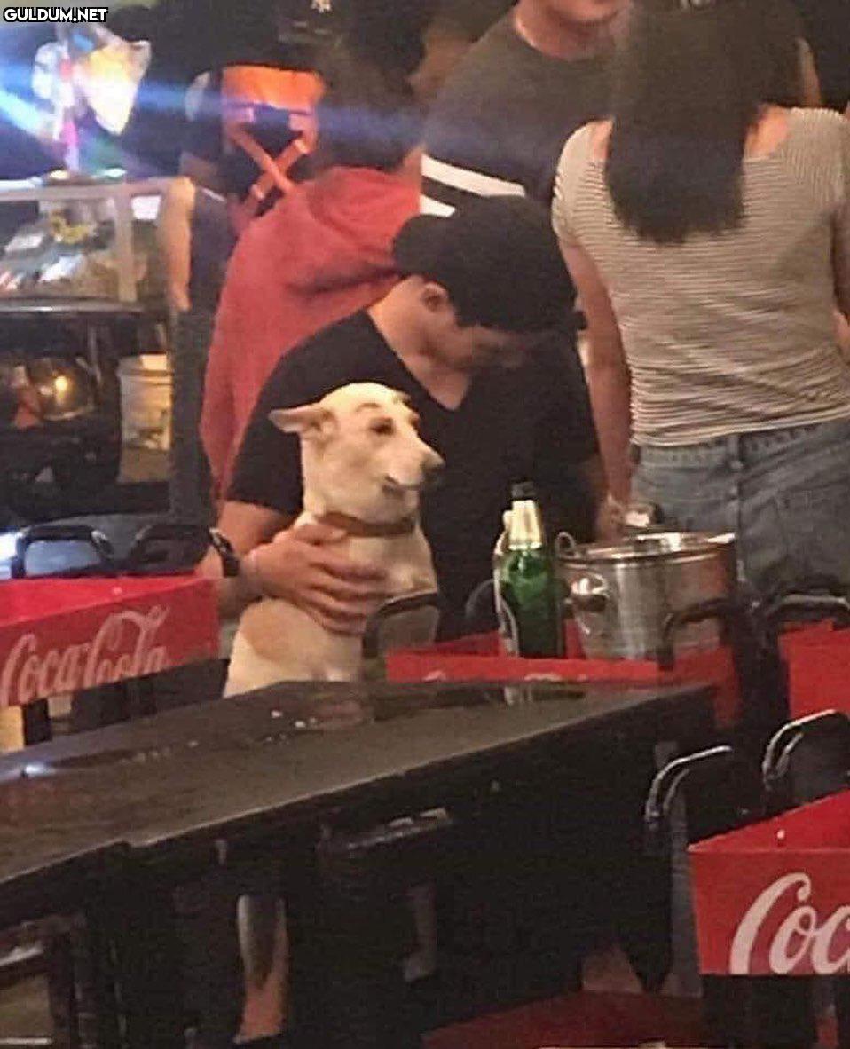anlamsız fotoğraflar 947...